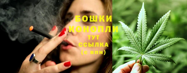 молекула духа Михайловск