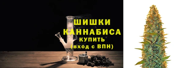 молекула духа Михайловск