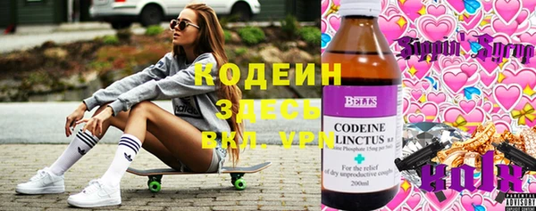 молекула духа Михайловск