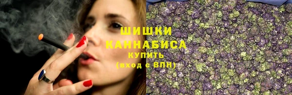 молекула духа Михайловск
