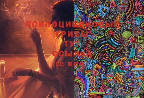 молекула духа Михайловск
