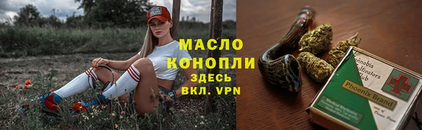 молекула духа Михайловск