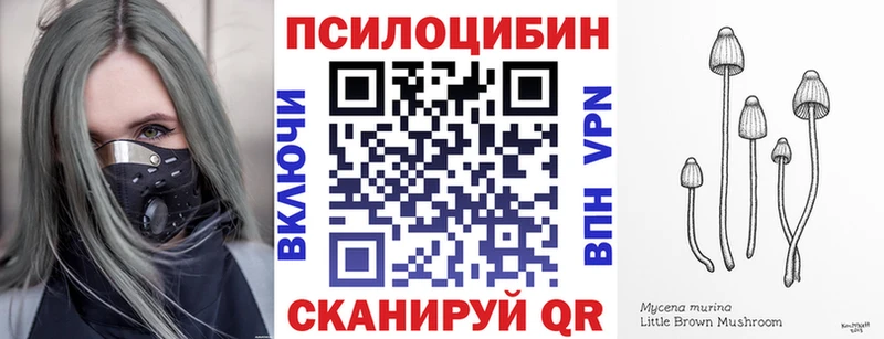 Псилоцибиновые грибы GOLDEN TEACHER  Ядрин 